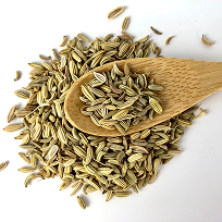 Fennel Seeds